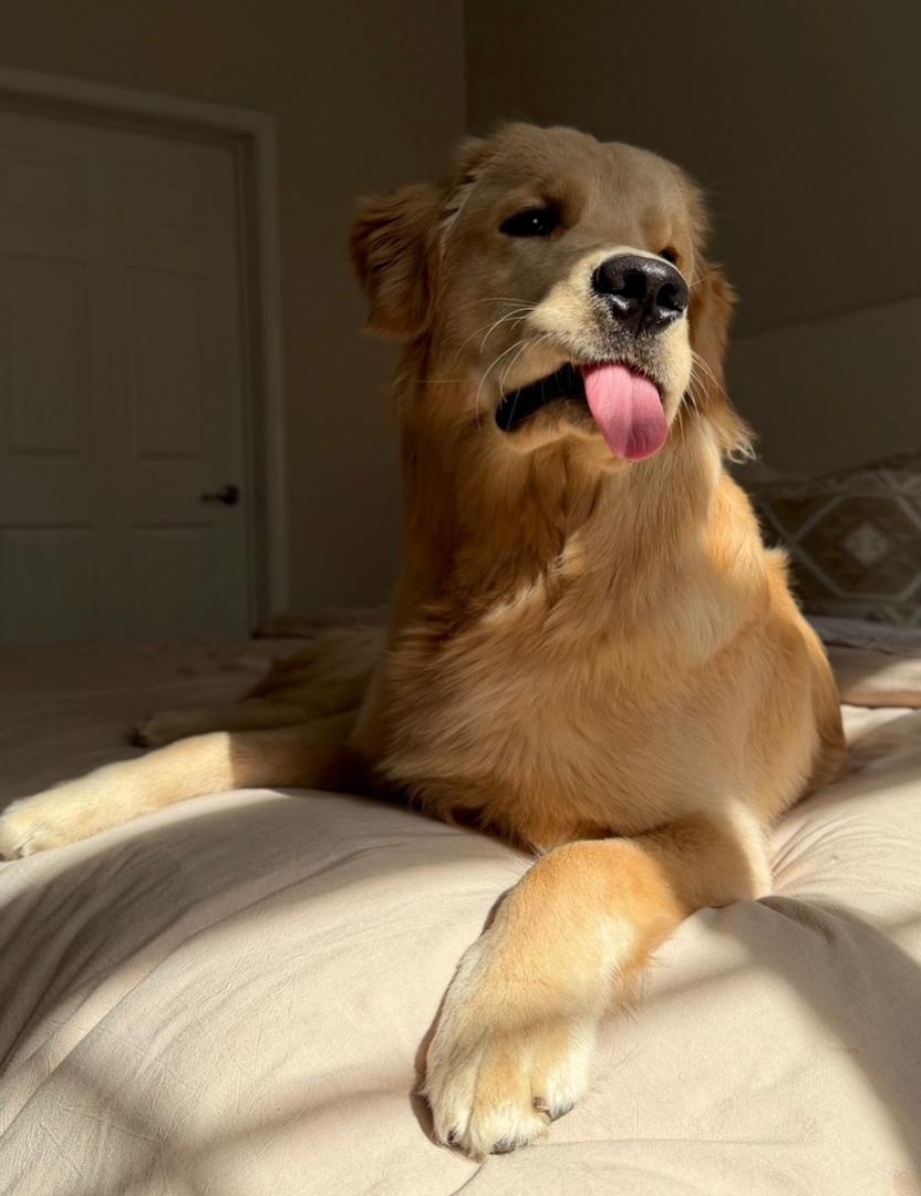 Michael Garcia — PrestigeGoldenHome family