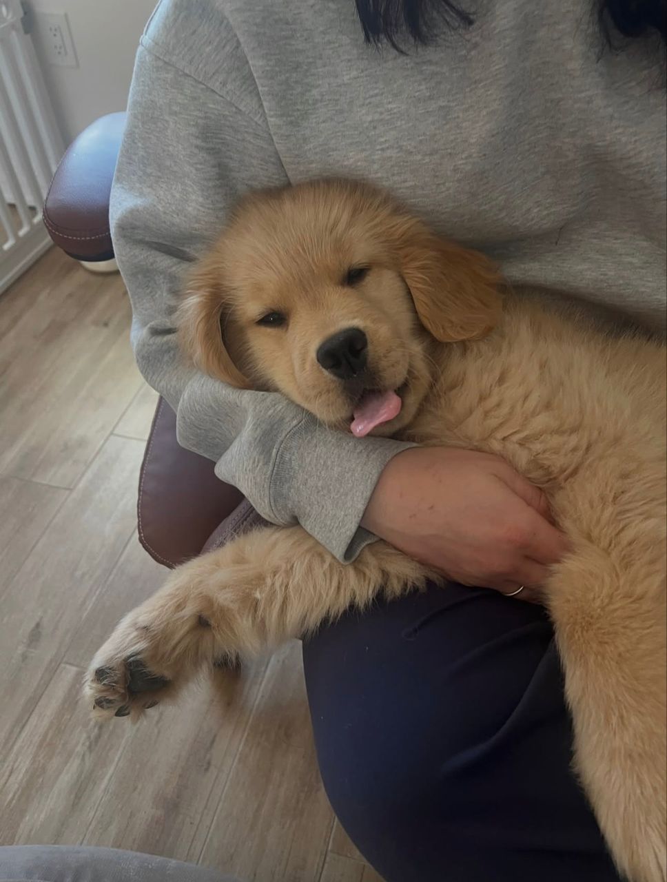 Emily Robinson with their Golden Retriever