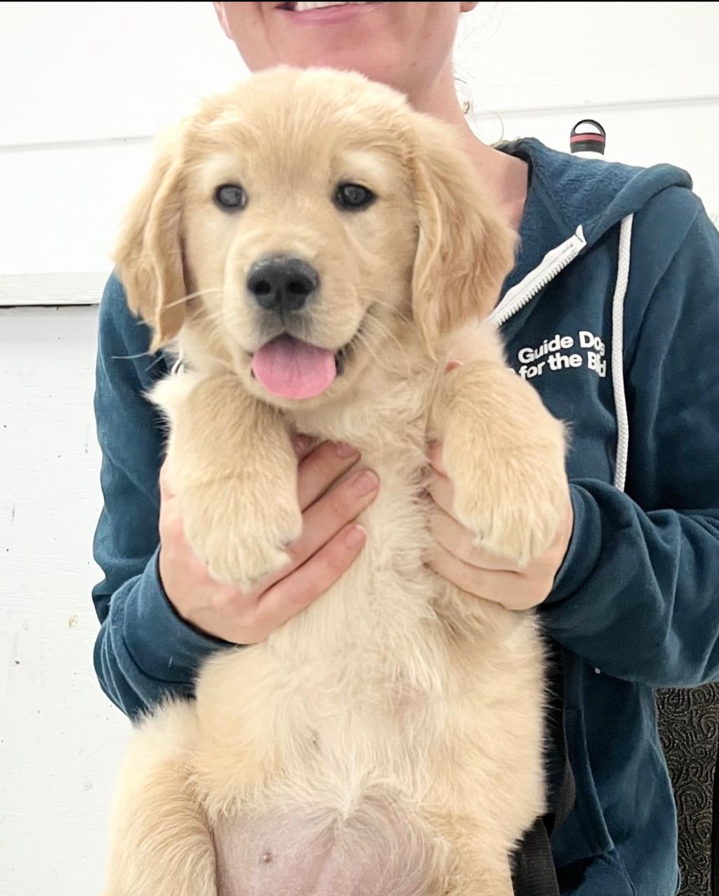 Ryan Johnson — PrestigeGoldenHome family